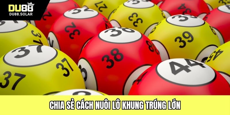 Chia sẻ cách nuôi lô khung trúng lớn