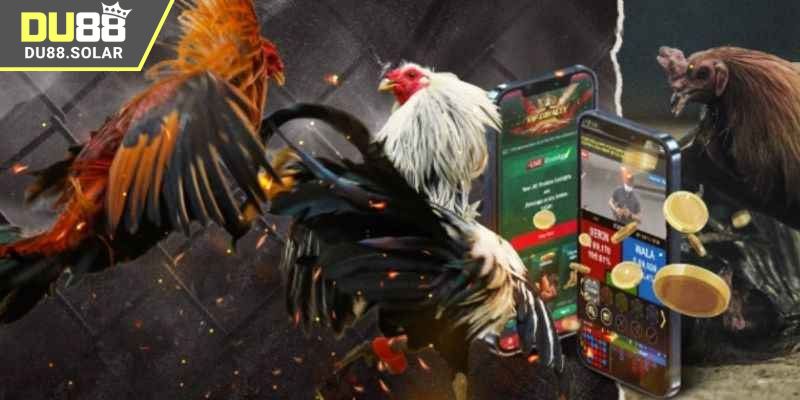 Đôi nét về link xem đá gà Campuchia