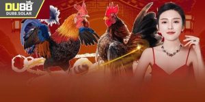 Link xem đá gà Campuchia